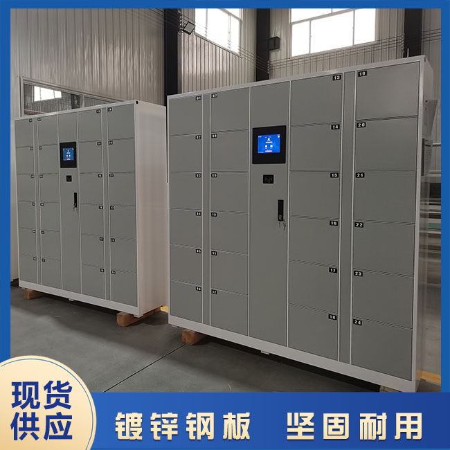 電子存包柜專用鎖優勢有哪些?【天瑞恒安】