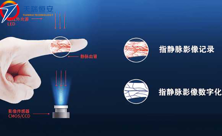 指靜脈原理